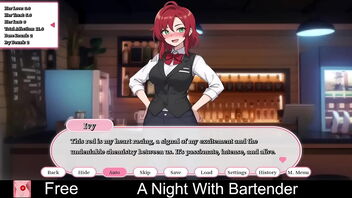 2D animated glamour game: A night with a bartender